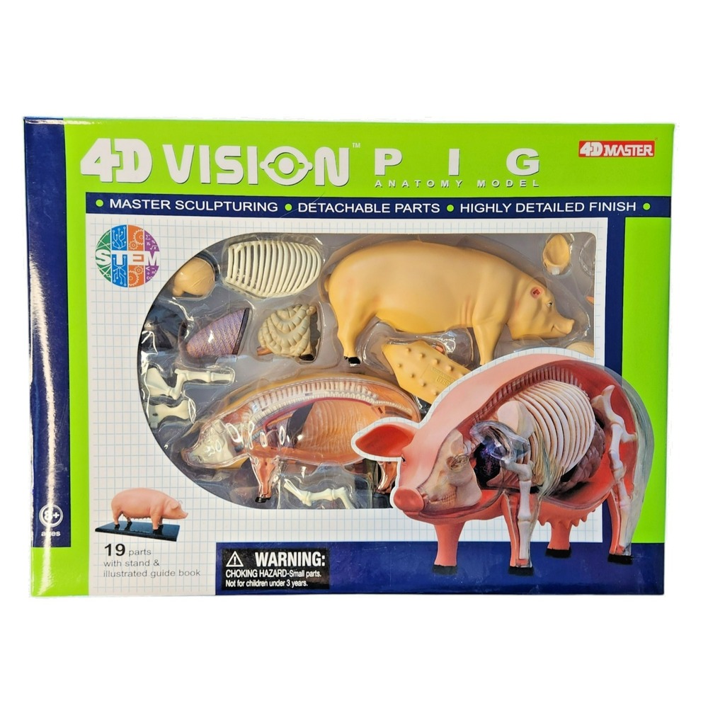 4D Vision Pig Anatomy‎ Model